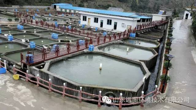 最新循环水养殖,循环水养殖系统图片大全集