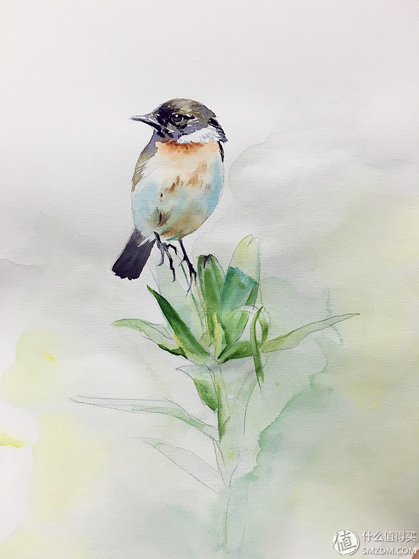 十年后又拿起画笔,十年后重新拿起画笔