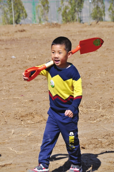 亲子情感依恋,亲子情感完整版