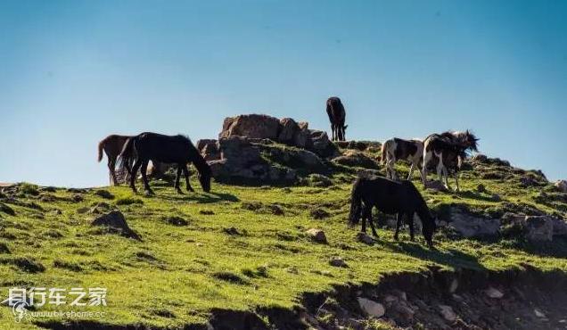 恋上一座城,走过一条路恋上一座城