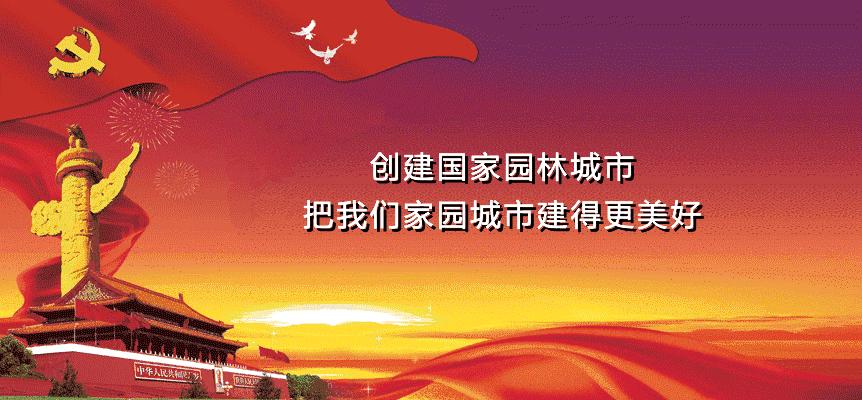 河源市青少年运动会,河源市比赛活动