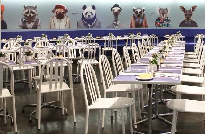 这家店在关门大吉之前YSL还专门为它推出性玩具！连GD也经常去逛~