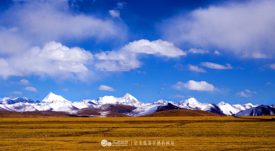 逃离图书馆,逃离方块