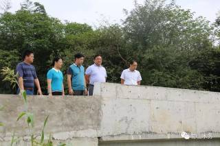 做好三农工作推进农业现代化,振兴乡村加快农业农村现代化