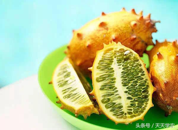 世界出名的十种稀奇水果,世界十大奇异生物你见过几种