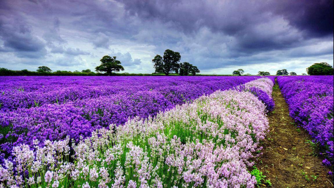 入门级家庭影院配置方案,优派px726hd投影机