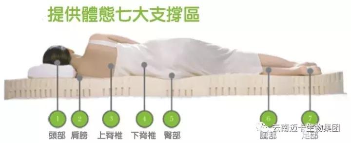 泰国皇家乳胶官网,泰国乳胶枕头骗局