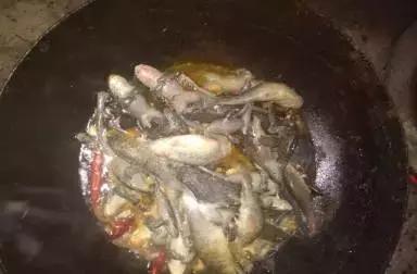 逊克雾凇美景,黑河市大平台雾凇旅游攻略