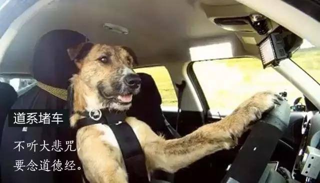 测测你是道系青年还是佛系青年,心理测试看你是一个佛系青年吗