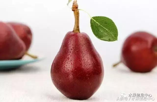 什么品种的梨子又大又甜水分又多,水果梨子产地