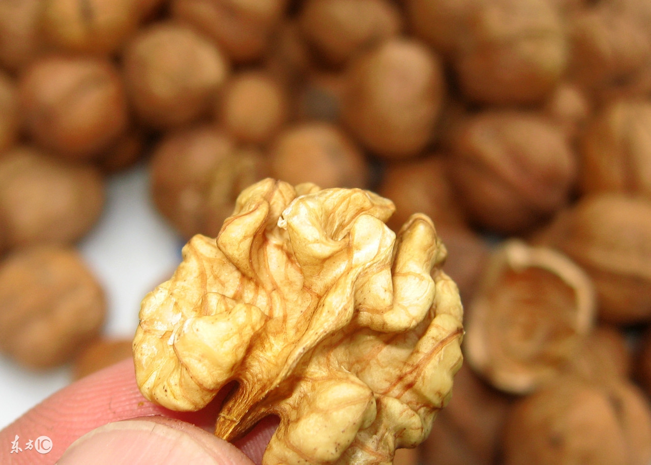 胆管结石吃什么食物有助于排石,胆结石吃哪些食物可以排石