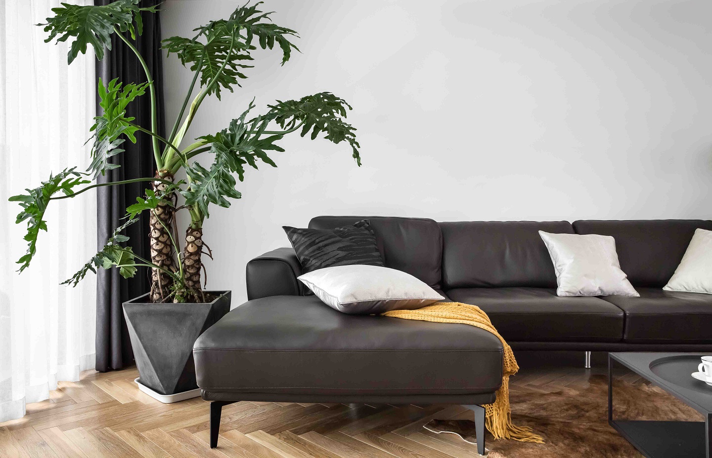 北欧简约和乡村田园,简约北欧庭院设计