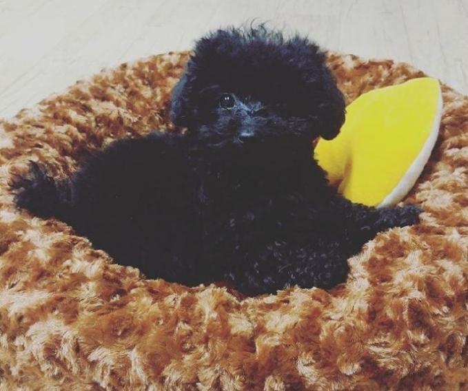 听说你爱豆行程结束后第一件事，就是赶回家见ta！