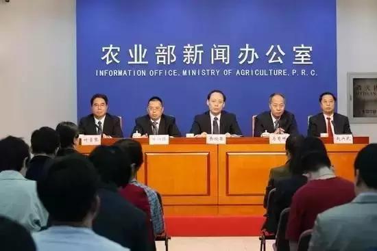 缓解炎症和疼痛，国产犬用新兽药获农业部通过