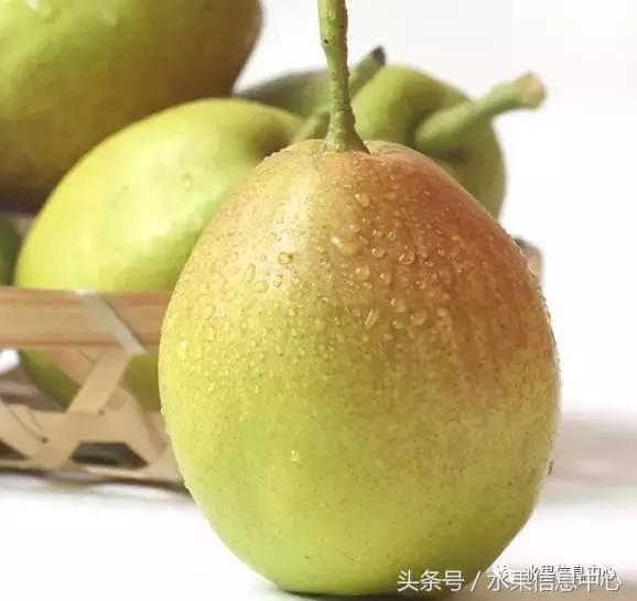 什么品种的梨子又大又甜水分又多,水果梨子产地