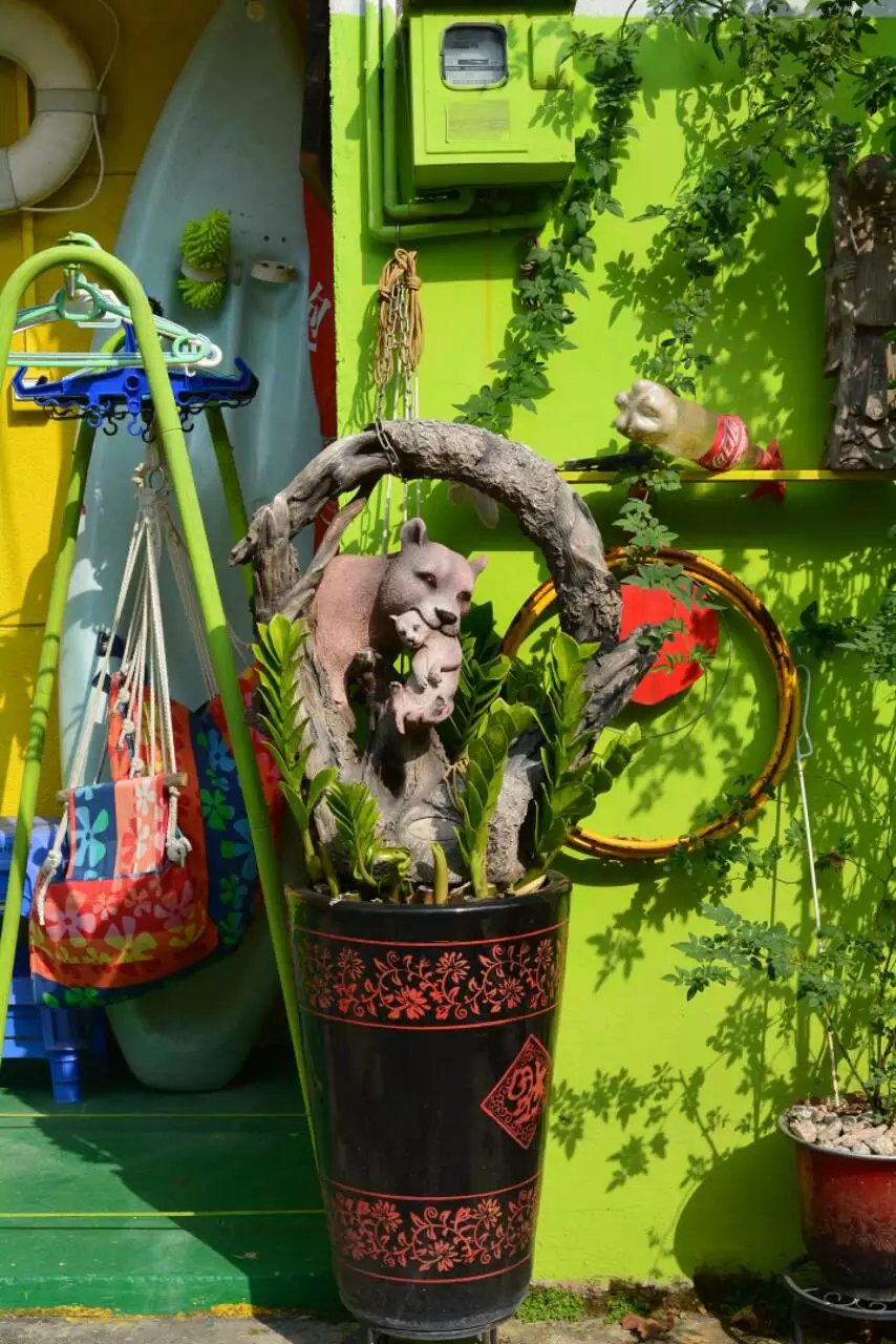 珠海市淇澳岛旅游攻略,珠海淇澳岛一日游攻略白石街