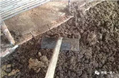 养牛漏粪板的规格和价格,养牛场漏粪板视频