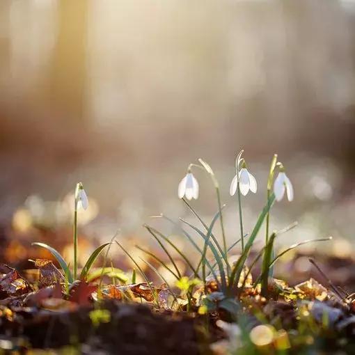 微问答丨“你给我闭嘴!”面对爱插嘴的孩子,你会怎么做?