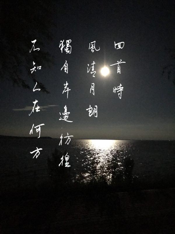 秋天的思念夏天的告别,秋天的告别冬天的来临