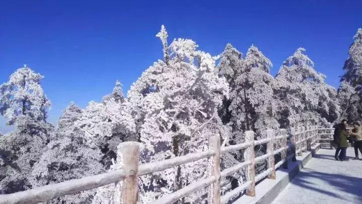 一下雪峨眉山就成了仙境,一下雪川西便美成了天堂