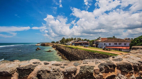 中国哪个地方菠萝蜜便宜,哪个地方的菠萝蜜比较便宜