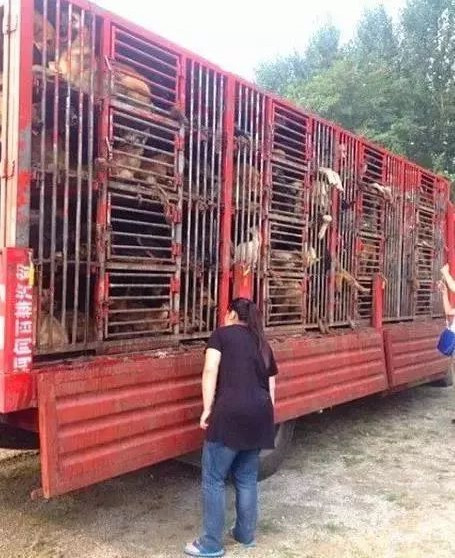 在你眼里再好的东西都是一文不值,在你眼里一文不值在别人眼里是宝