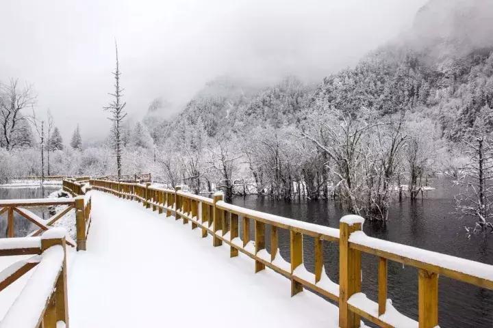 一下雪峨眉山就成了仙境,一下雪川西便美成了天堂