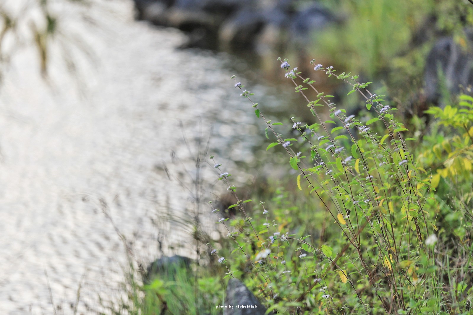 天等小记-登一座山爱一座城看一片天等日夕晨