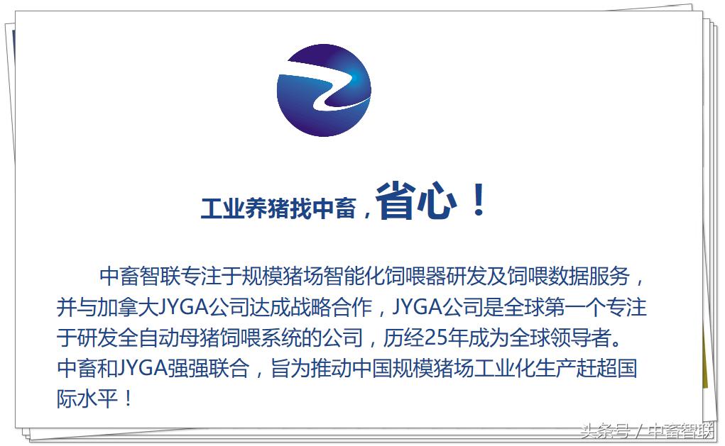 仔猪黄白痢是什么原因引起的,仔猪白痢是什么意思