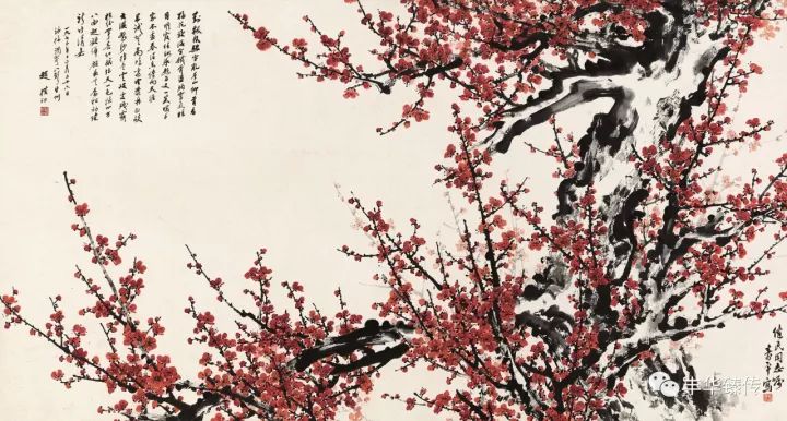 帽哥直播回放完整版最新,帽哥直播最新回放完整版