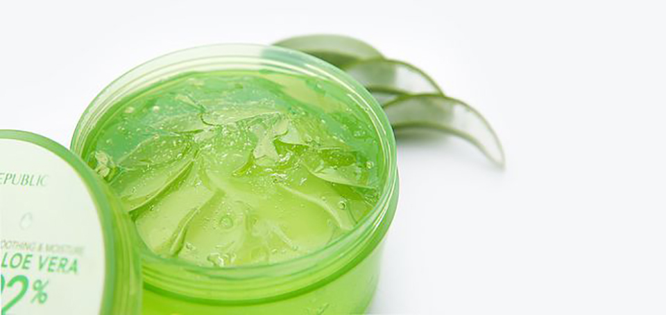 大自然乐园现状,自然乐园与自然共和国有什么区别