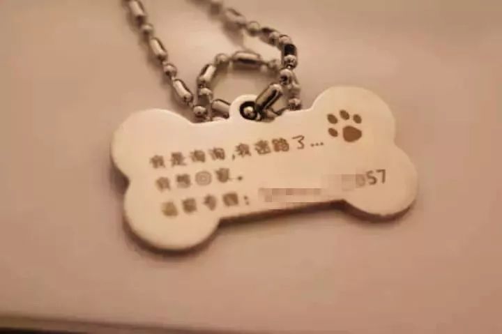 丢了狗狗如何寻找,狗狗丢了该怎么找回来