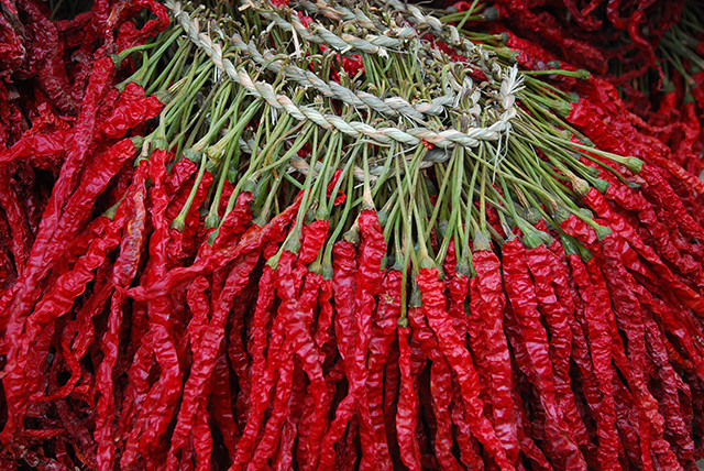 毕节的这些特色农产品你都知道吗,毕节十大特产农产品