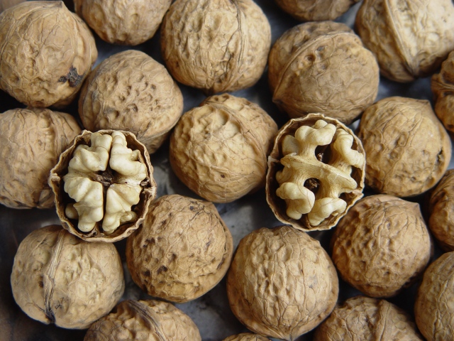 毕节的这些特色农产品你都知道吗,毕节十大特产农产品