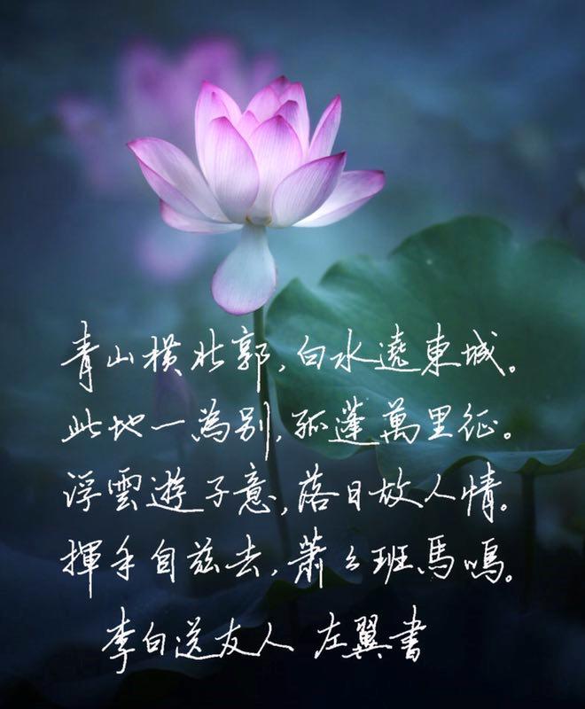 秋天的思念夏天的告别,秋天的告别冬天的来临