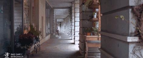 稳定器新手小白入门推荐,新手小白最好用的稳定器