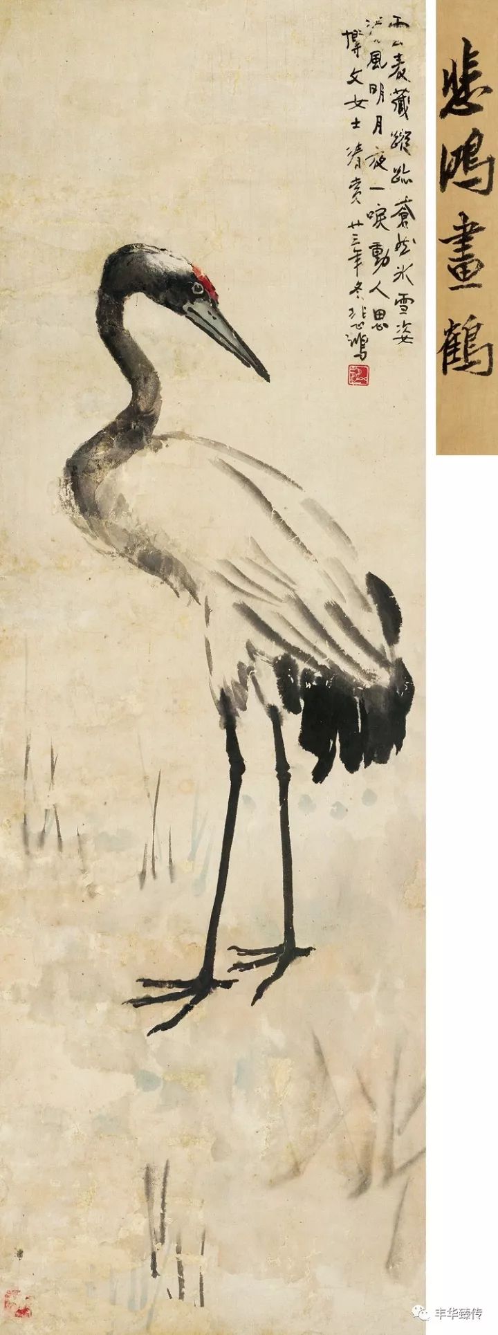 帽哥直播回放完整版最新,帽哥直播最新回放完整版