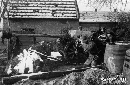 矢车菊凋谢在多瑙河畔：*党**卫军第22“玛丽亚·特蕾莎”骑兵师简史