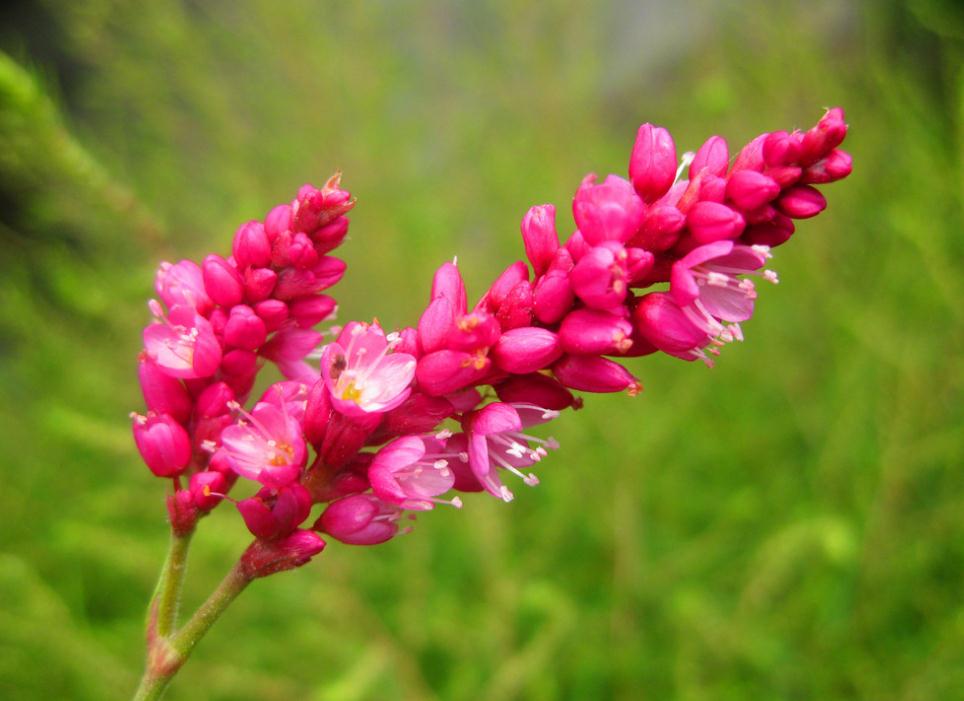 做人不能太窝囊废,做人太失败活得一塌糊涂