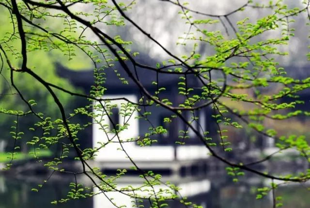 名人读书故事成语,历史故事四字词语成语大全