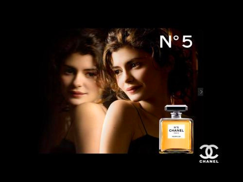 玫瑰为什么叫戴安娜,兰蔻为什么是玫瑰标志