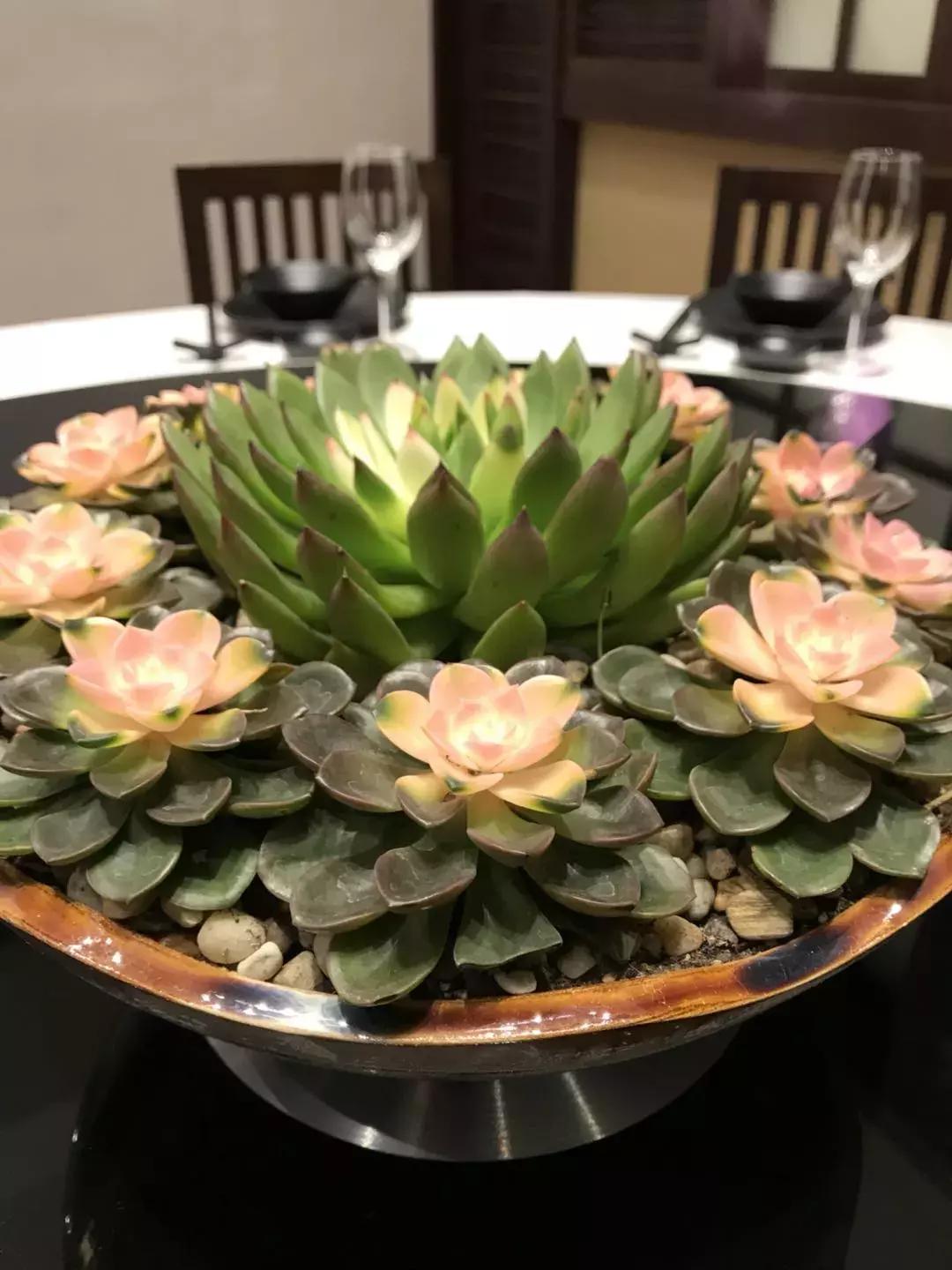 台州椒江吃川菜哪里好,椒江路桥吃川菜的地方推荐