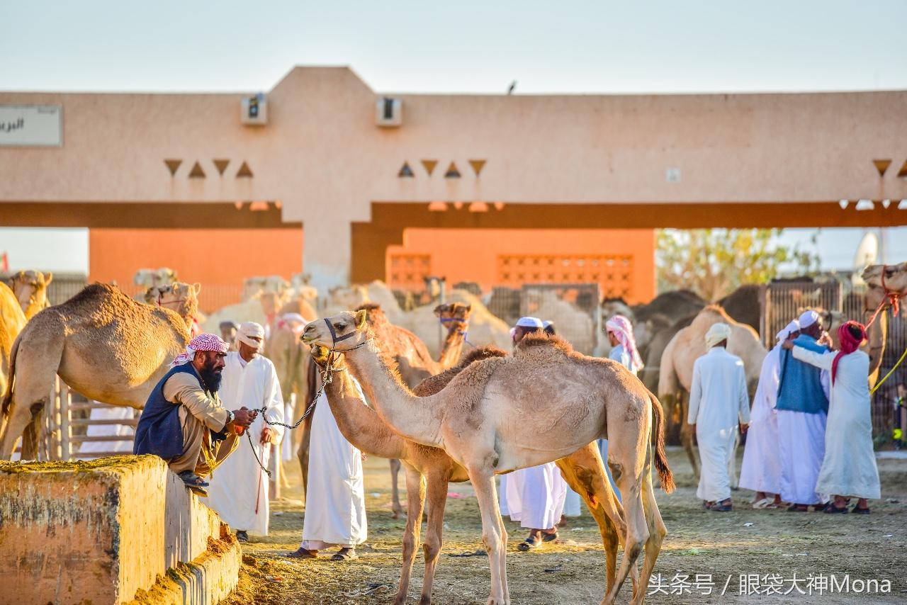 阿布扎比是一个什么样国家,阿布扎比是个什么样的国家