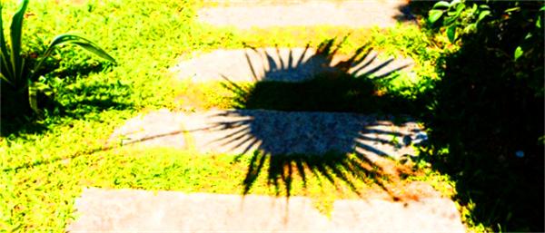 北纬18度温暖的冬季三亚之旅,北纬18度三亚旅游