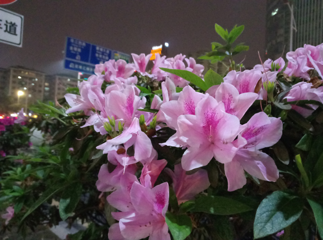 魅蓝note3深度测评,魅蓝3全网通评测