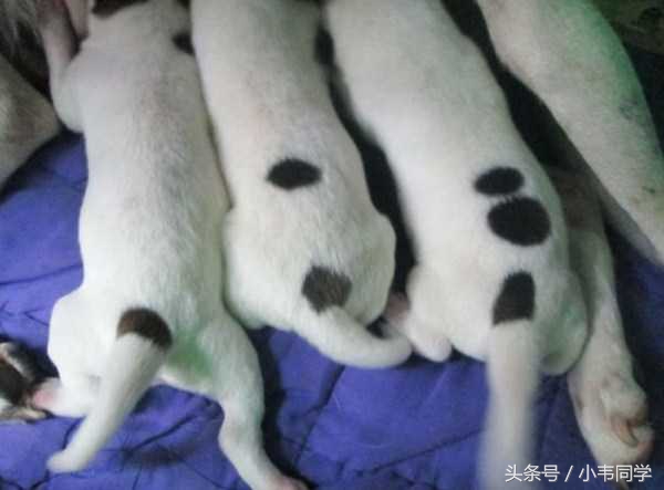 张家口手机台今日新闻,张家口晚间新闻