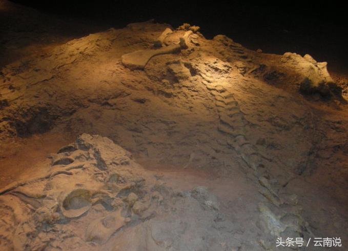 禄丰世界恐龙谷相约一亿年,世界恐龙谷和禄丰恐龙地质公园