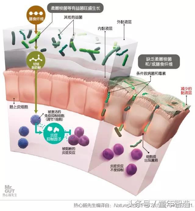 科学养娃真的科学么,科学有用常识小知识