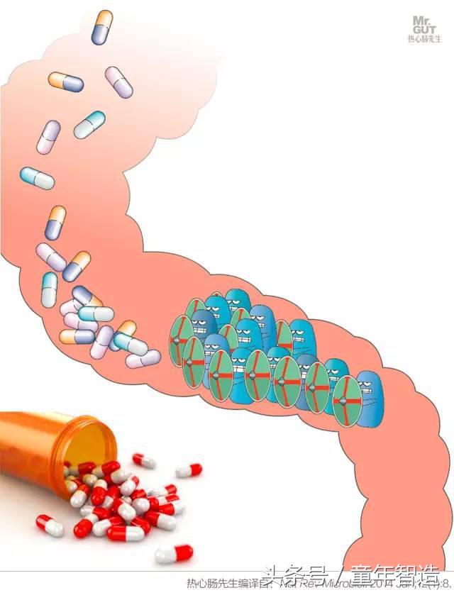 科学养娃真的科学么,科学有用常识小知识