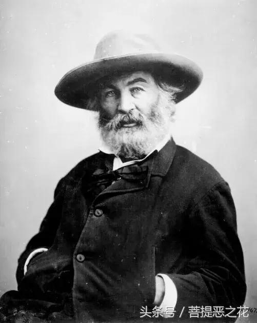 或许我只是你生命的一个过客,或许我只是一个过客是什么歌